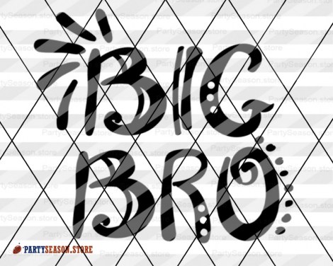 big bro Party season 3