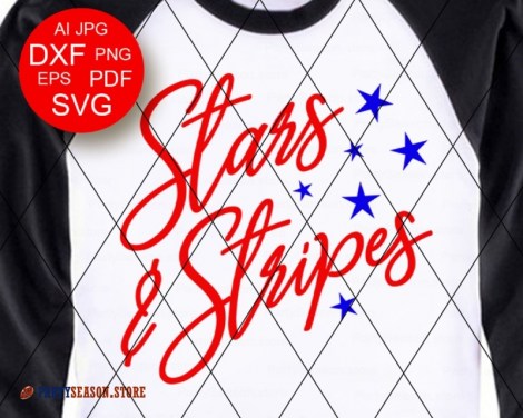 Stars and Stripes Party season store 1