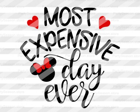 PartySeason Store expensive day Minnie 4