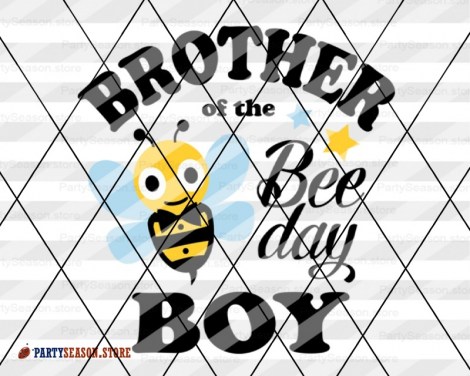 brother of the bee day boy Party season 2